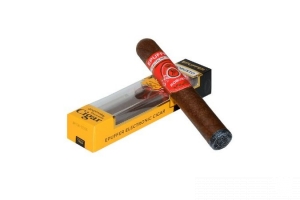 Epuffer Robusto Disposable Cigar