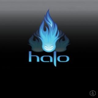 Say Hello to Halo: Up close and personal with this top seller