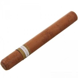 Electronic cigar conquering the market