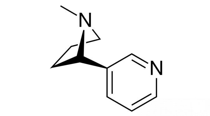 All about nicotine salt e-juices